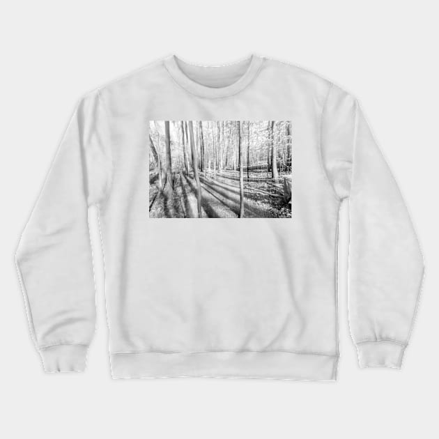 Ghost Trees Crewneck Sweatshirt by Ckauzmann